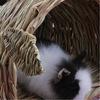 Woven Straw Pet Rabbit Hamster Guinea Pig Cage Nests House Toy Chinchilla Bed