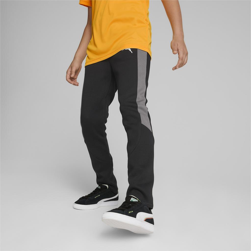 Puma Evostripe Pants 67006901 R 116