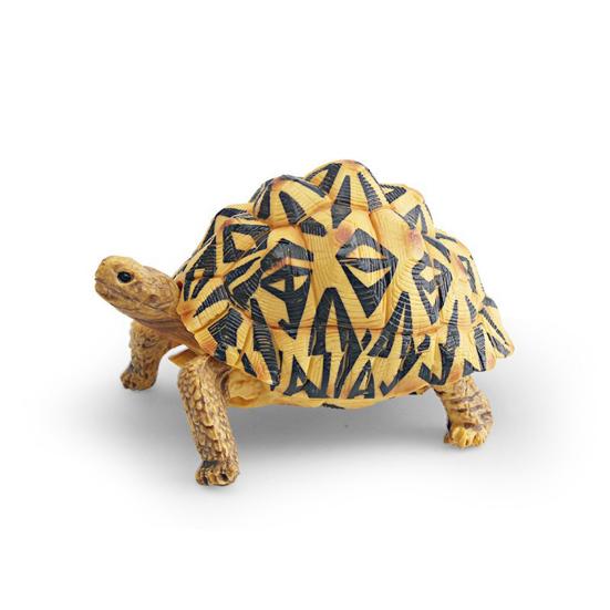 Simulation Turtle Model Realistic Tortoise Figurine Miniature Animal Educational Toy Home Office Desktop Decoration Ornament