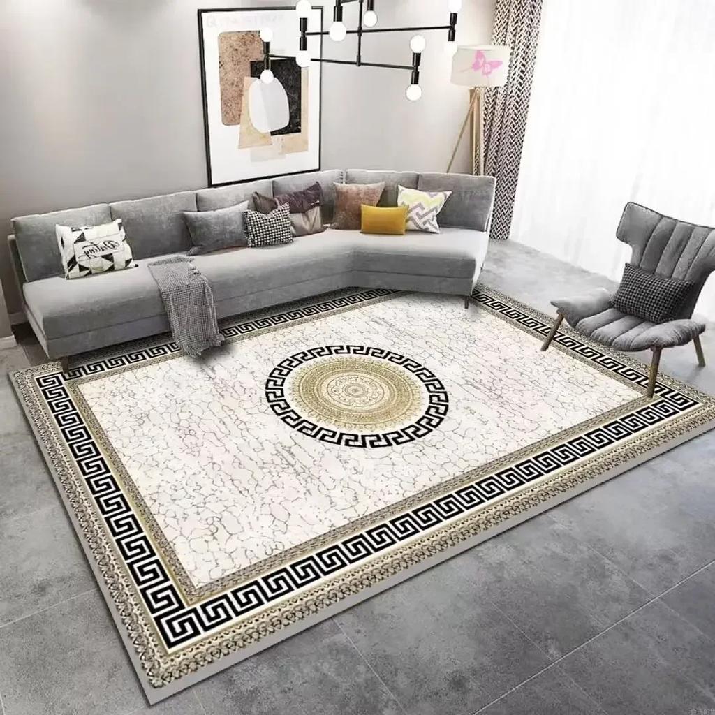 Luxury Rugs and Carpets for Living Room Decoration Elastic Mat Bedroom Carpet Home Decor Non Slip Floor Mats Machine Washable