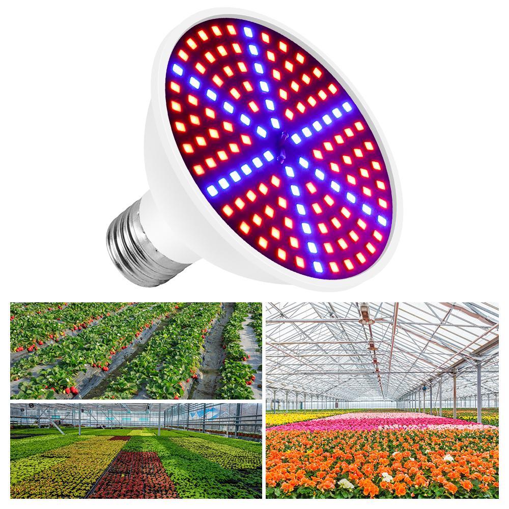 E27 LED Gesamte Spektrum Phyto Lampe E26 Anlage Wachsen Birne 15W 20W LED Hydrokultur Wachstum Licht Gewächshaus Vegs Cultivo wachsen Lampe