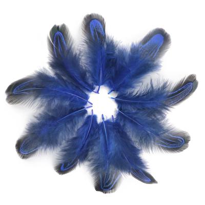 Natural Feather Diy Feather Dachang Feather Pheasant Hair Headdress Accessories Clothing Accessories 5-8Cm Colored Feather