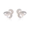 Matte Silver Three-dimensional Daisy Petal Stud Earrings Literary and Cold Flower Earrings Commuter Dating Wear High-end Atmosphere