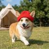 Knitted Pet Hat with Ear Holes Winter Warmer Dog Hat Elastic Puppy Beanie Cap Christmas Pet Thermal Accessories for Dogs & Cat