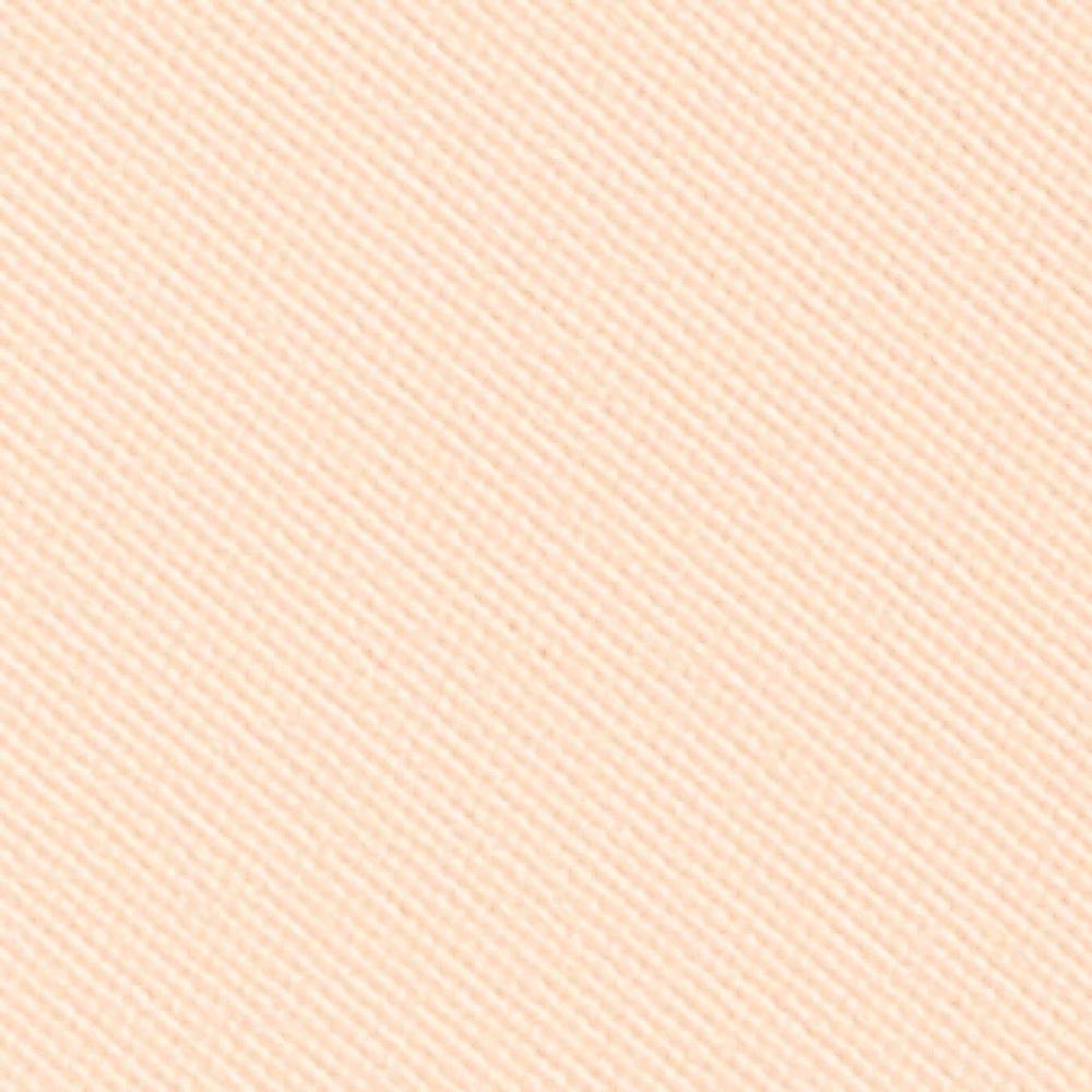 Stylenanda 3ce Makeup Fix Powder  Fair