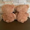 [USED] teddy bear puppet