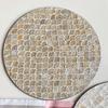 Vintage American Rattan Round Shell Tray, Coffee and Western Food Insulation Cushion, Creative Storage Trays, Living Room