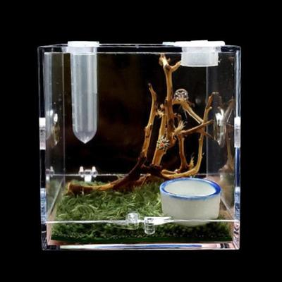 Mini Reptiles Breeding Box Clear Acrylic Cage Habitat Insect Feeding Box Terrarium Tank Escape Proof For Insects Jumping Spider