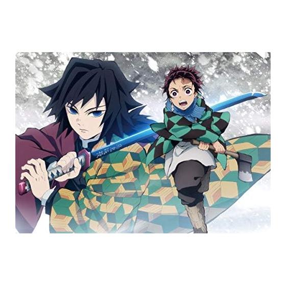 Demon Slayer: Kimetsu no Yaiba Clear File Tanjiro & Giyuu