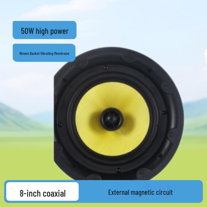 Tianlai 8 2-way Coaxial Woven Cone Ceiling Speaker for Home Audio