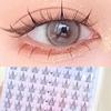 Denivyse - Individual Cluster False Eyelashes
