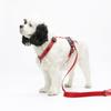 KINIKINI Original Logo H-Type Harness + Leash Set