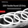Fita de Luz Neon Beigong 360 Graus