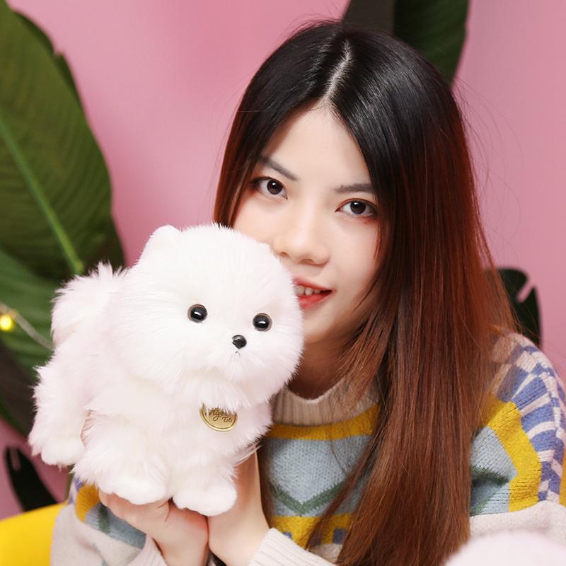 Lifelike Pomeranian Plush Toys Simulation Puppy Kawaii Teddy Dog Stuffed Animals Dolls Cute Birthday Gift Present for Children