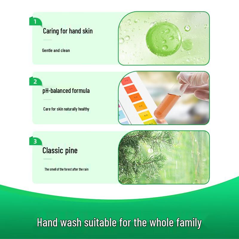 Dettol Antibacterial Hand Wash - Classic Pine