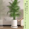 Movable Plant Pot Stand with and Water Storage Tray Fits 30cm S.T.S.G Casters, Drainage, Breathability, (Black, Planters)