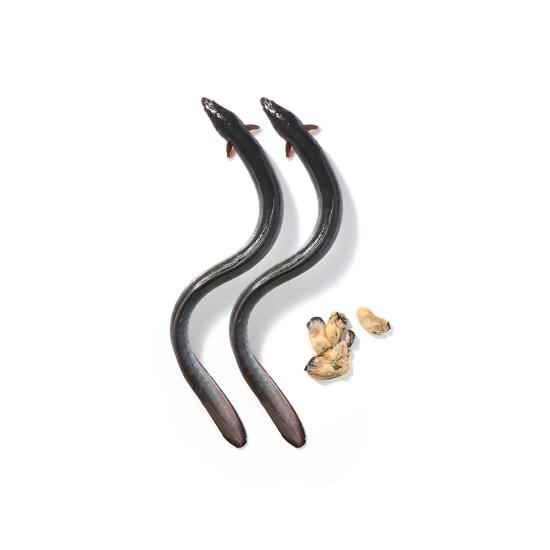 WELLIT AR.MAN  Energy Booster Stick (3 Options)