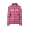 Korean Style Women's Lightweight Slim Fit Down Jacket - Stand Collar, Short, Plus Size, Autumn/Winter