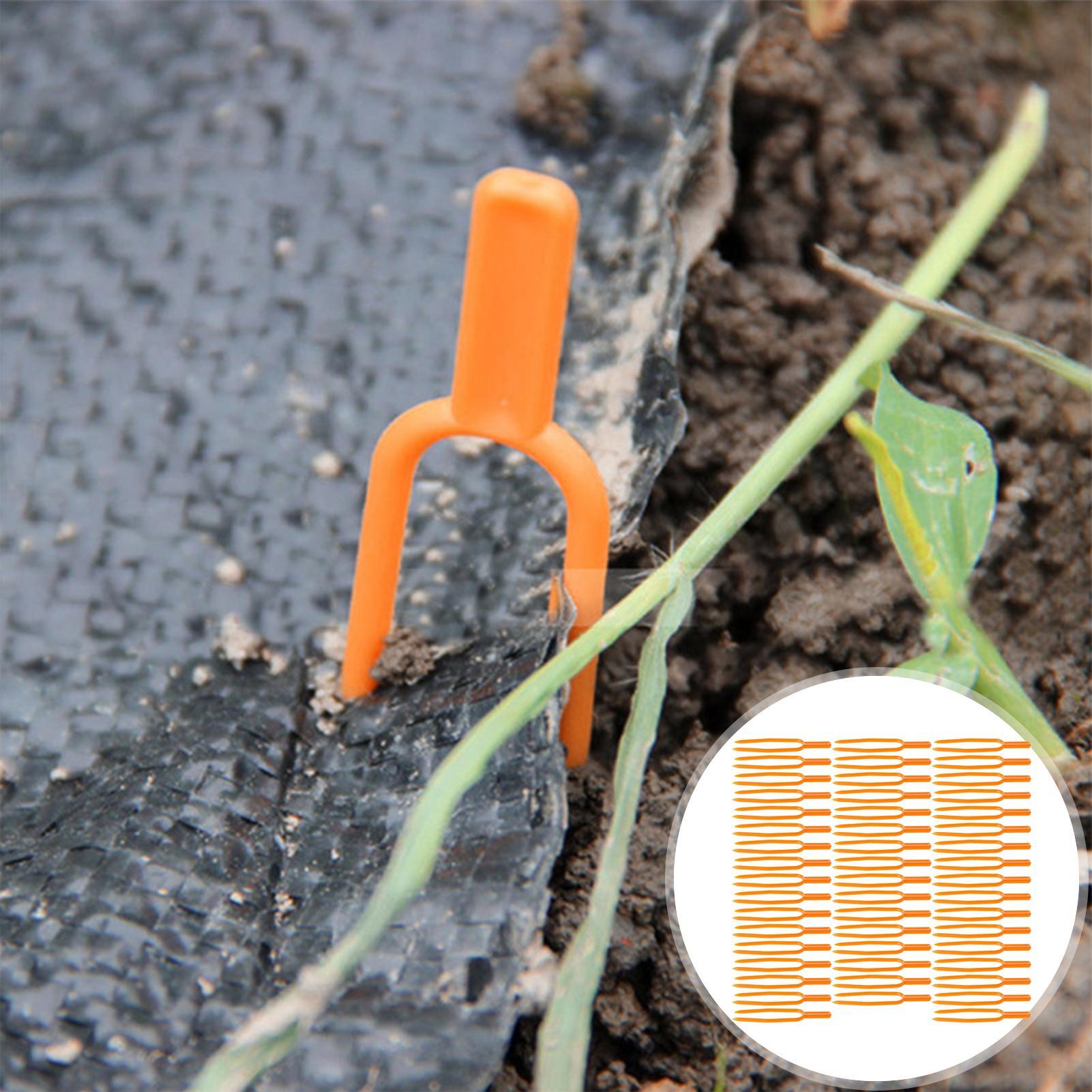 

50pcs Plant Clip Strawberry Fork Tool Gardening Plastic Environmental watermelon fixing fixture, clamp, plant bracket Xxxl