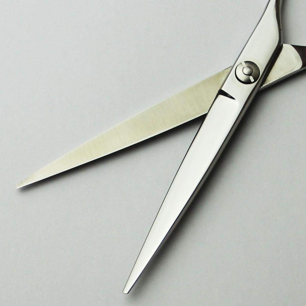A Japanese Manufacturer of Professional Offers the CONY Perfect for Hairdressers and Professional Axis, Scissors, Scissors, 6.0 Inches, Haircutters.