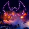 2pcs Halloween Bat Style LED Light Festival Light String