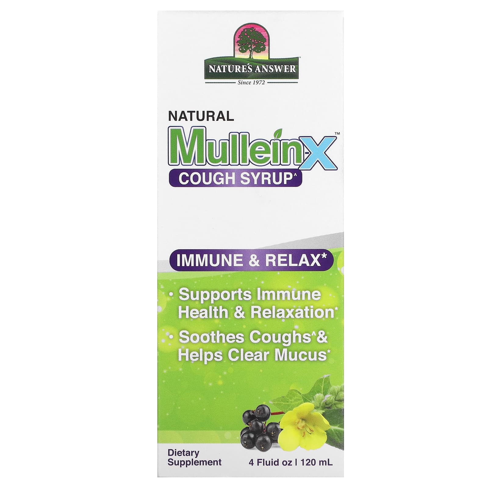

Nature S Answer, Natural Mullein-X Cough Syrup, 120Ml(4Fl Oz)