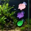 Peixes e animais aquáticos – Decoração de aquário