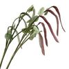 Realistic Hyacinth Bean Artificial Vegatable Decoration Lifelike Simulation Bean Pods for Kitchen Restaurant Home Decor