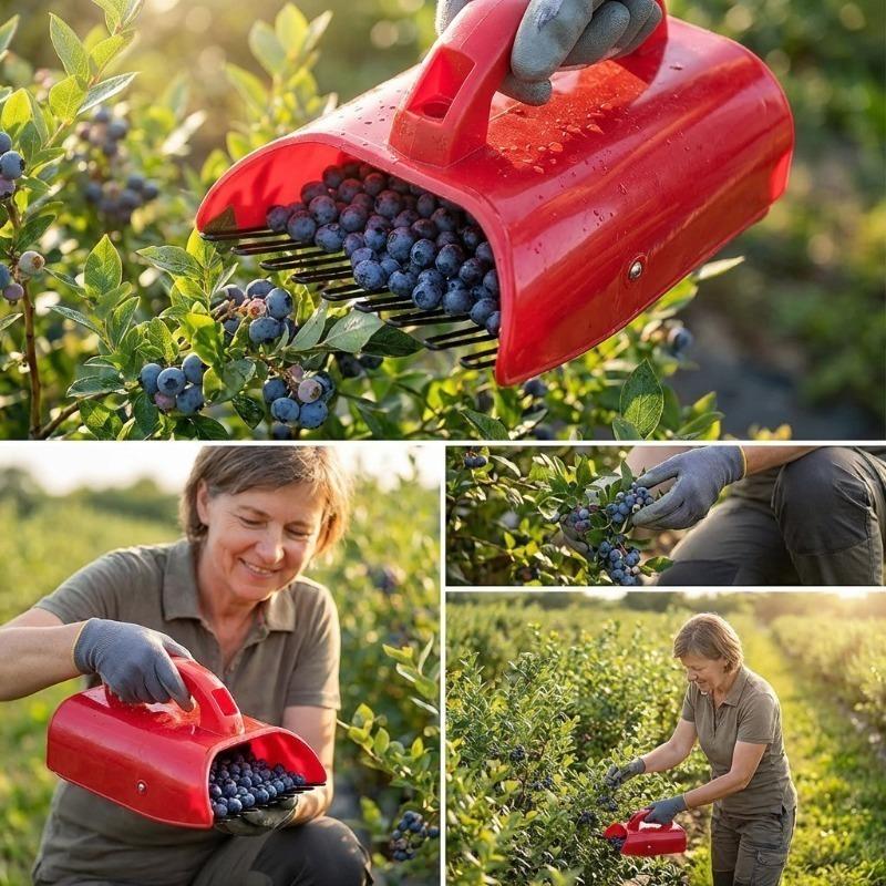 Berry Picker Comb Rake,Plastic Blueberry Picker Scoop Fruit Picker Tool,Blueberry Rake Scoop,Handheld Berry Harvester Tool