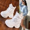 Women's Snow Boots Autumn/Winter New Arrival Faux Fur Lined Thick Sole Platform Thickened Insulated Cotton Shoes