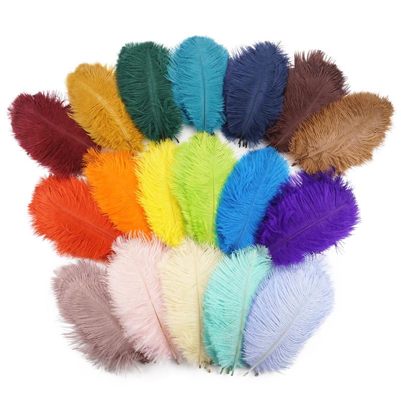 10Pcs Colorful Ostrich Feather Handicraft Accessories Dream Catcher Decoration Jewelry Creation Natural Plume Table Centerpieces