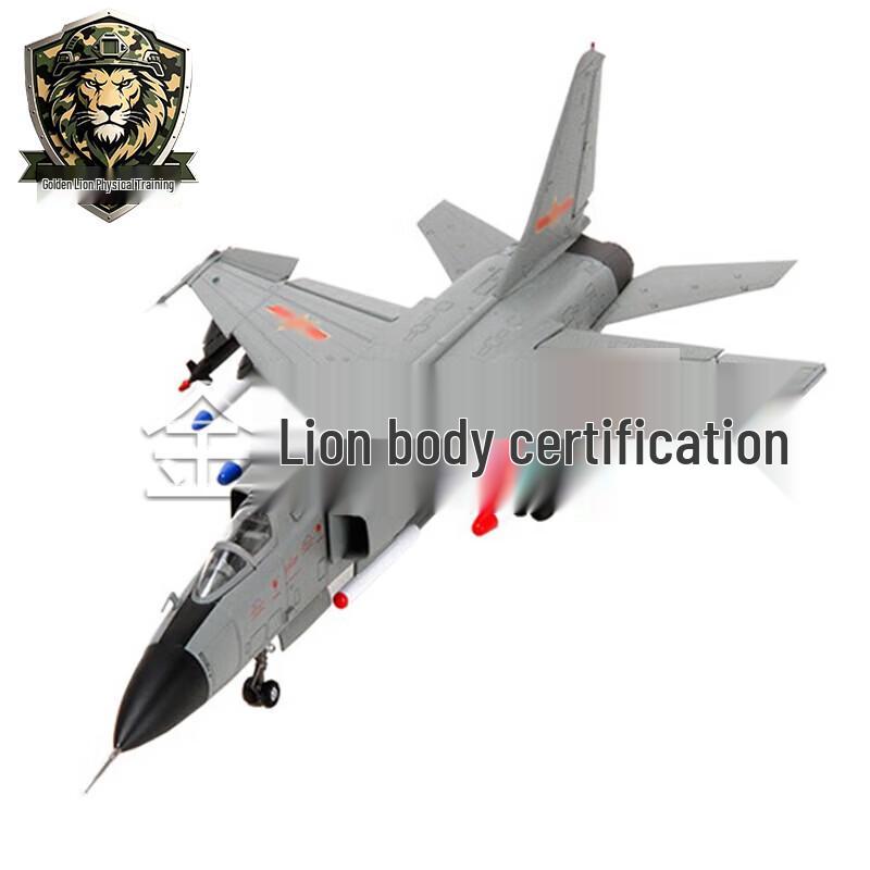 Golden Lion Series JH-7A Fighter Jet Model
