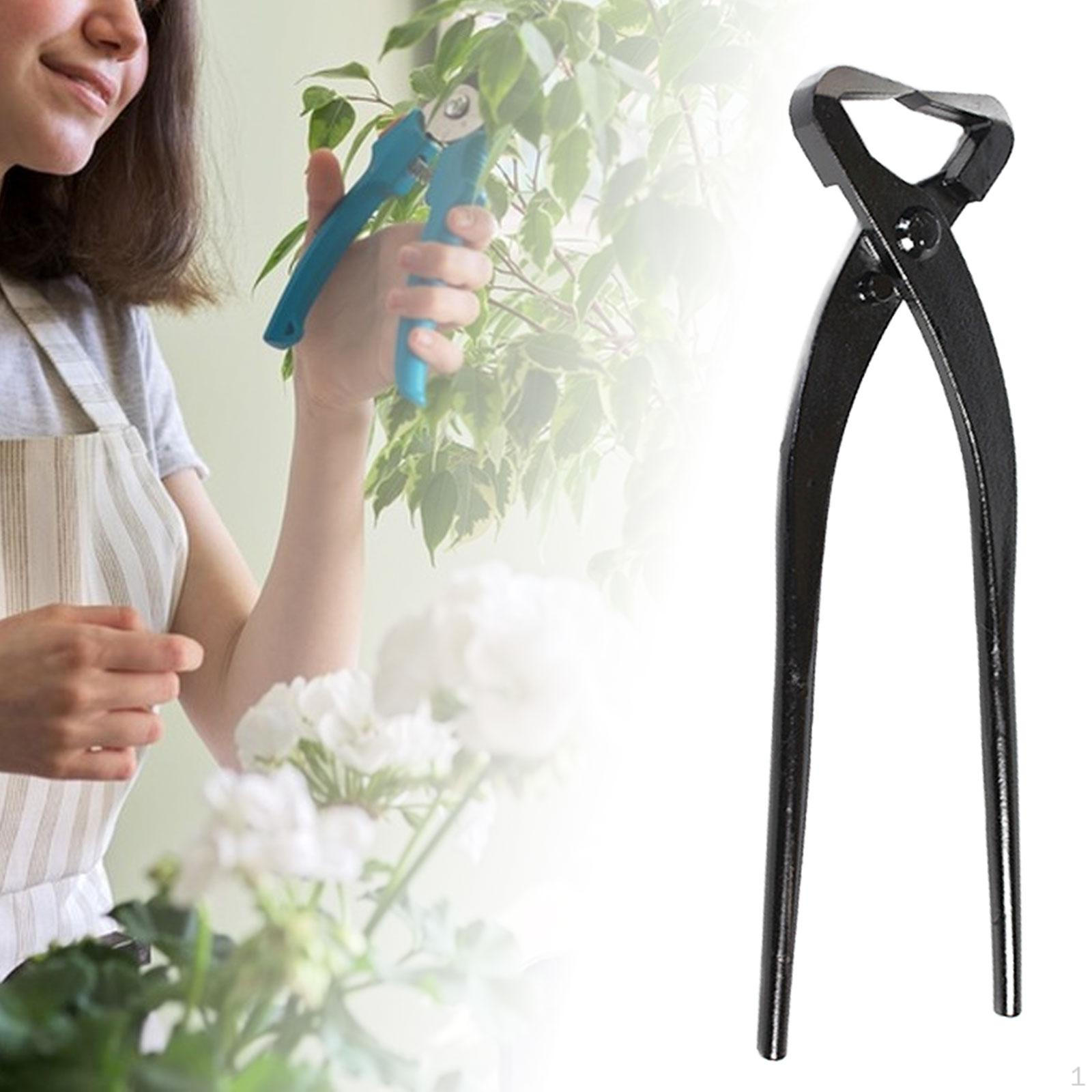 

Ножницы для бонсай, инструмент для ветвей, садовые инструменты, запасные части, ручка для сдвига суставов 21cmx3cm