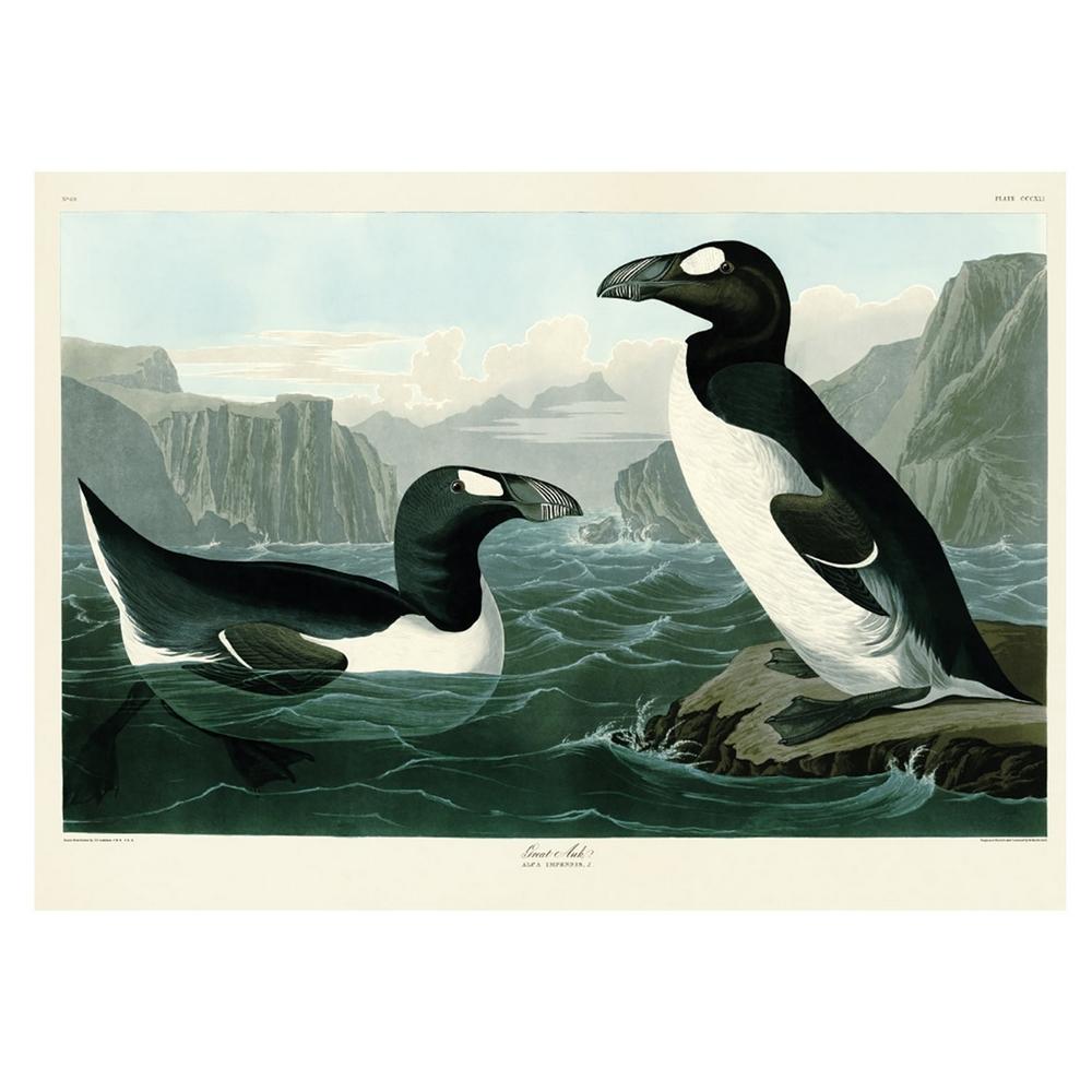 John James Audubon Great Auk Print