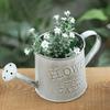 Retro Small Iron Watering Can Home Garden Ornaments Creative Home Decoration Iron Bucket Pots for Flowers