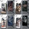 British Shorthair Cat Phone Case For iPhone 16 15 14 11 12 13 17 Pro Max Mini 15 16 Plus 16e 17 Air Cover Coque
