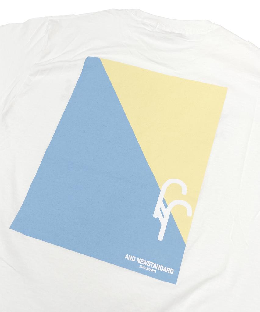 AND NEWSTANDARD No Swimming Swim Team T-Shirt (White)