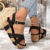 Fashion Women's Stylish Wedge Sandals 2025 Summer Platform Gladiator Sandals for Women Thick Bottom Non Slip Beach Sandalias Plus Size