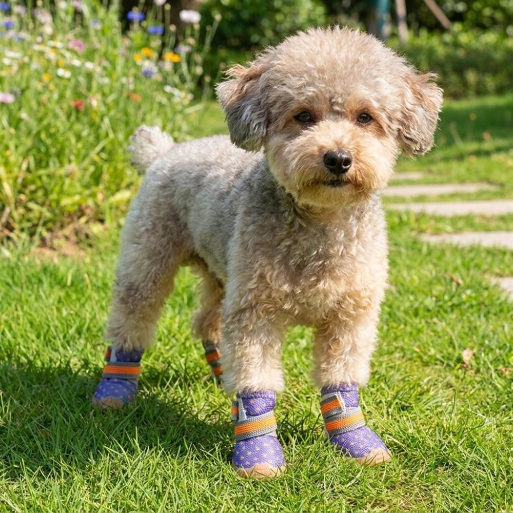 4 Pcs/set Non-slip Dog Mesh Shoes Wear Resistant Dog Sneakers Pet Booties Pet Net Boots  City Walks