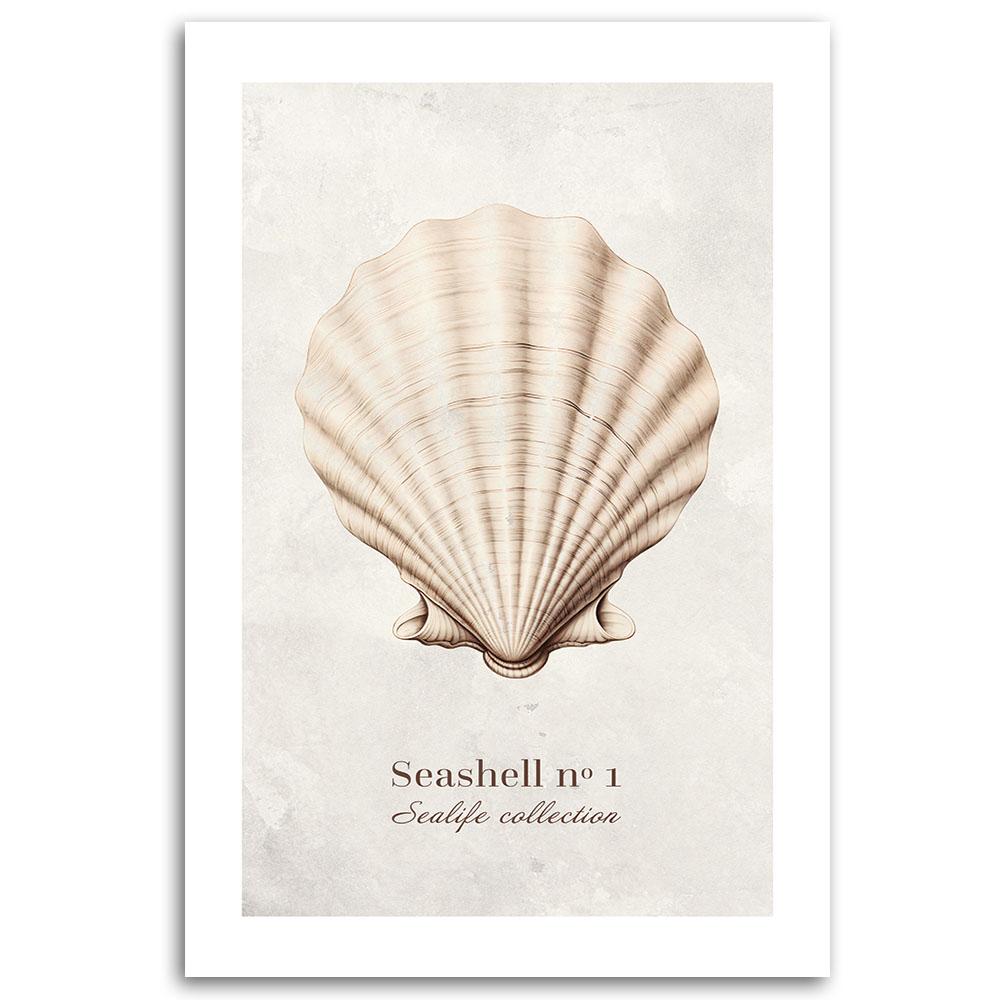 Canvas Print, Natural Shell