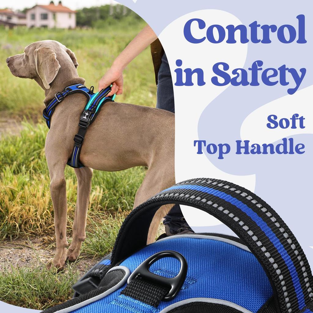 Model Dog rabbitgoo Dog Harness for Dogs Adjustable No Head Reflective Material for Nighttime Secure Cough Walking Senior Dog Care Easy to Put On and