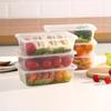 Disposable Rectangular Lunch Box with Lid