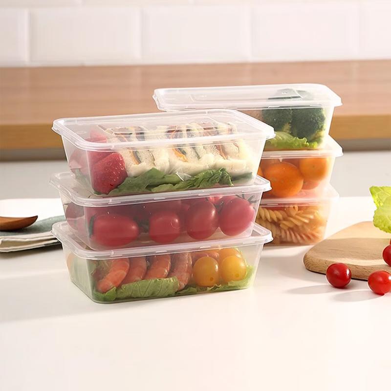 Disposable Rectangular Lunch Box with Lid