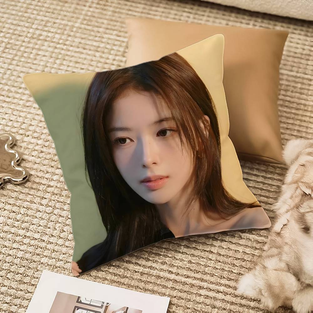

R-roh Jung Eui-es Pillow Case Anti-dustmite Invisible zipper Sofa Bed 12x12Inch
