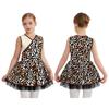Girls Prehistoric Cave Costume Leopard Print V Neck Sleeveless Mesh Puffy Dress with Built In Briefs