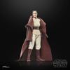 Hasbro Star Wars Black Series Jedi Master Indara, Acolyte, Collectible 6-inch (15cm) Action Figure G0011, Authentic