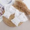 Lace Mesh Embroidered Double-Layer Sleeves with Cuffs 