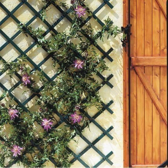 Treillis en plastique blanc MINI-TRELLIS - INTERMAS GARDENING - 0,50 x 1,5 mètres - Plastique