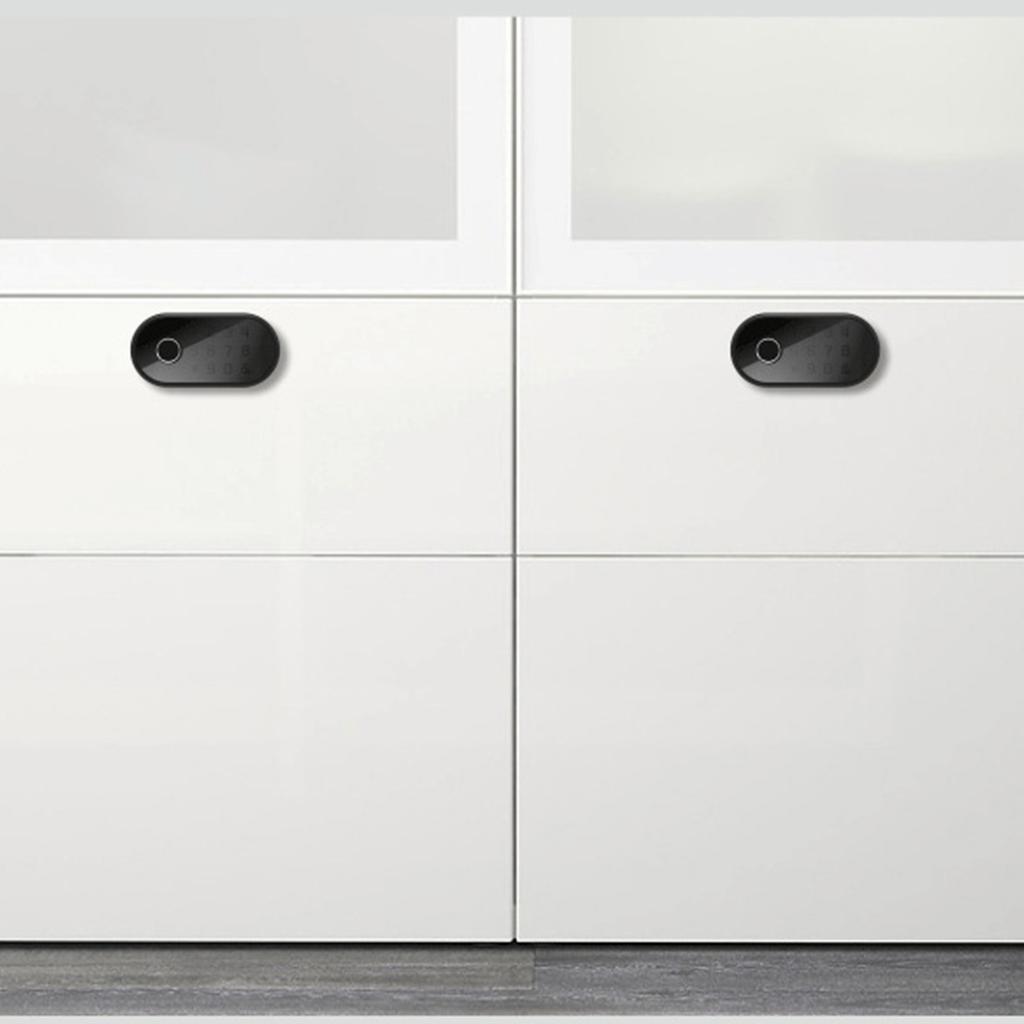 Drawer Fingerprint Password Lock Biometric Electronic Cabinet Access Control Keypad Lock for Office