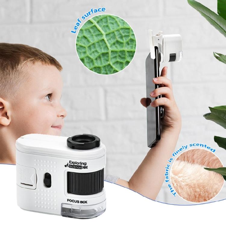 Easy to Carry Small Microscope with Powerful 1000X Magnification User Friendly Microscope for Hobbyists & Professional